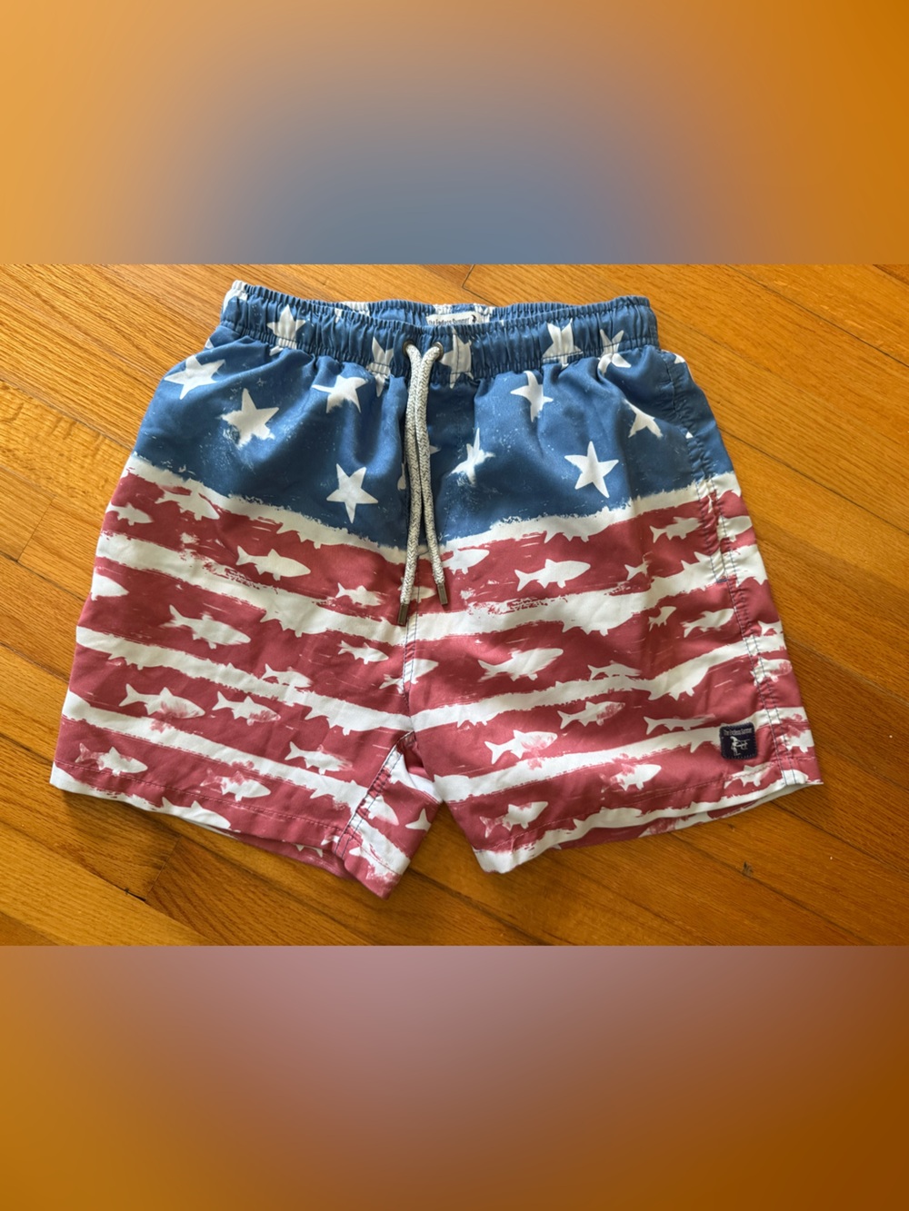 The Endless Summer Patriotic Swimtrunks